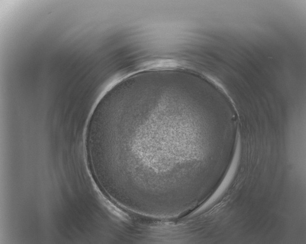 X0000058141475200509302006