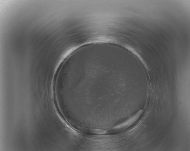 X0000058141477200509302006