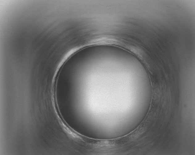 X0000058141478200509302006