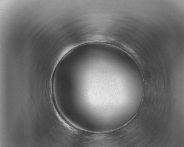 X0000058141479200509302006