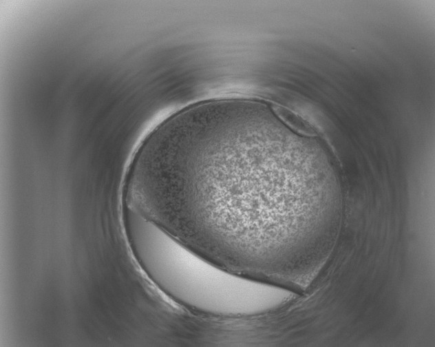 X0000058141480200509302006