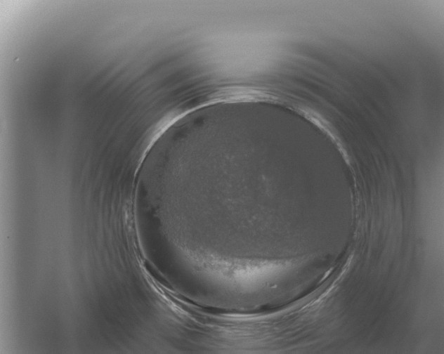 X0000058141481200509302006