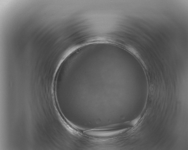 X0000058141482200509302006