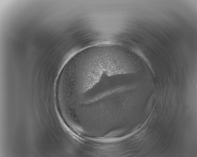 X0000058141483200509302006