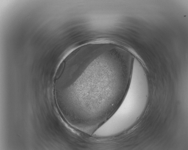 X0000058141484200509302006