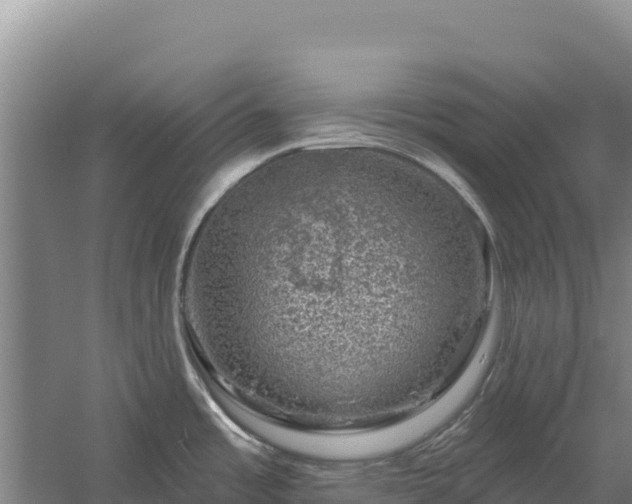 X0000058141485200509302006