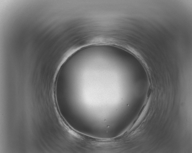 X0000058141486200509302006