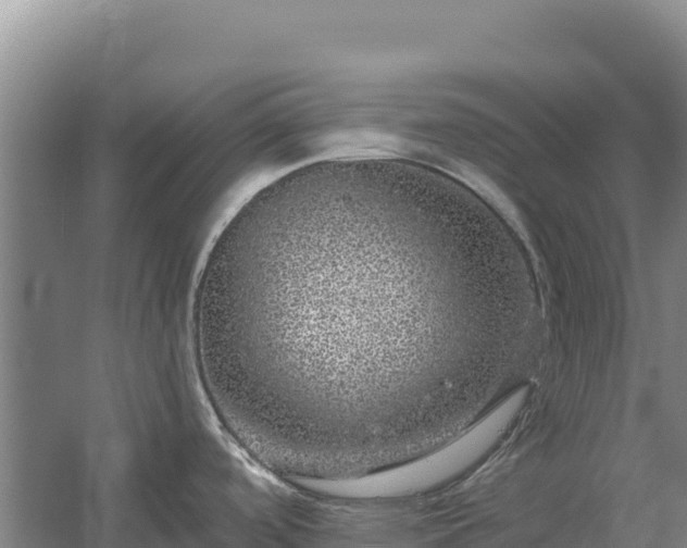 X0000058141488200509302006