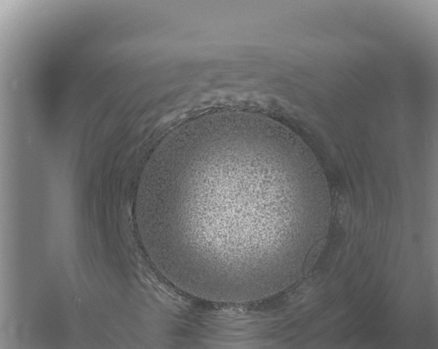 X0000058141489200509302005