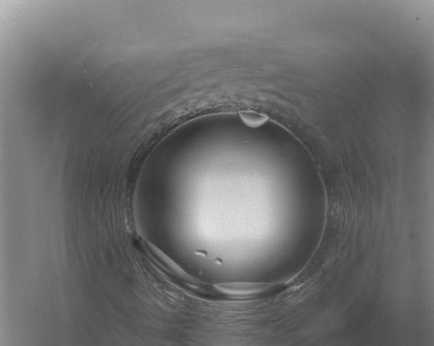 X0000058141490200509302005