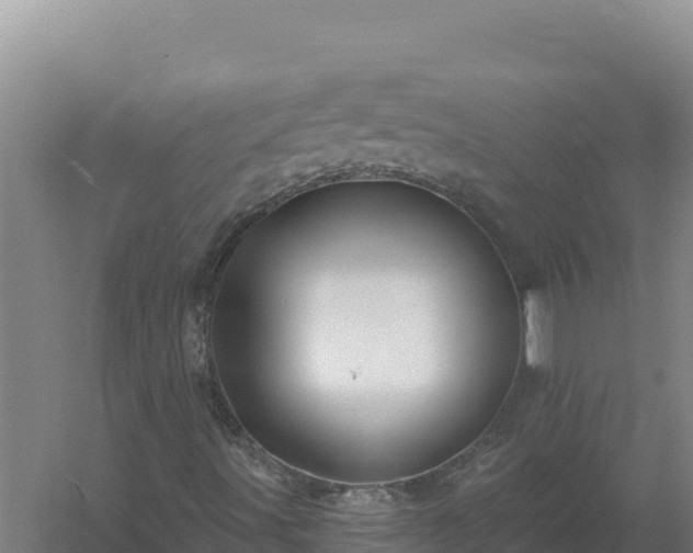 X0000058141491200509302005