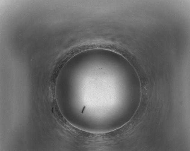 X0000058141493200509302005