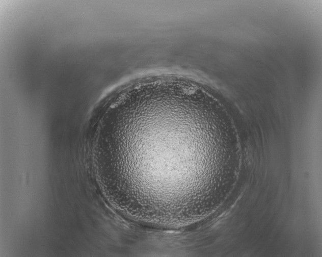 X0000058141494200509302005