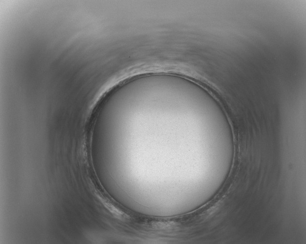 X0000058141498200509302005