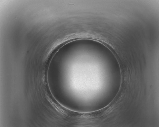 X0000058141499200509302005