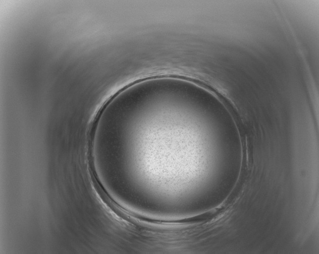 X0000058141500200509302005