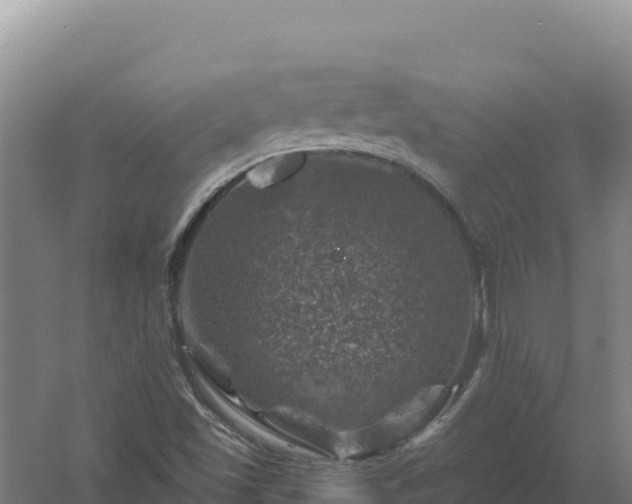 X0000058141501200509302005