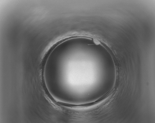 X0000058141503200509302005