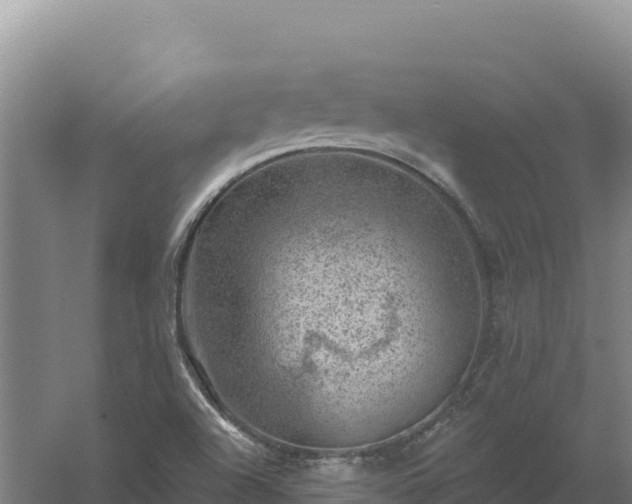 X0000058141504200509302005