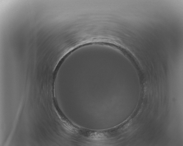 X0000058141505200509302005