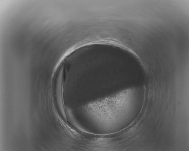 X0000058141506200509302005