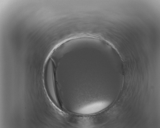 X0000058141508200509302005