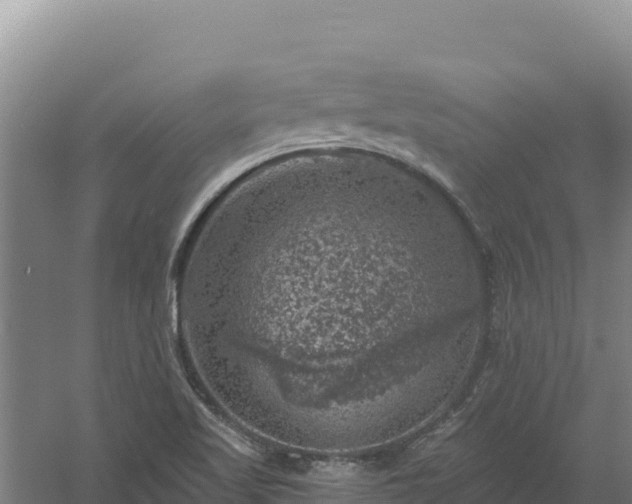 X0000058141509200509302005