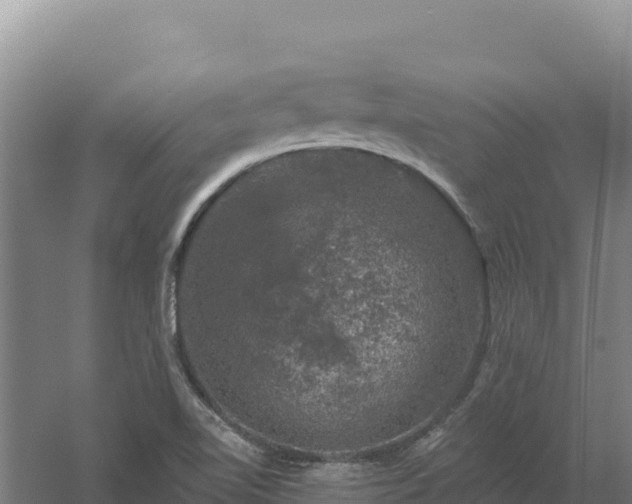 X0000058141510200509302005