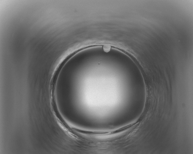 X0000058141511200509302005