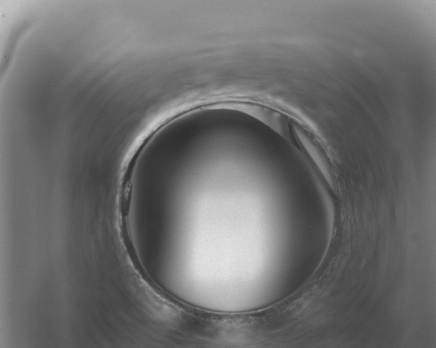 X0000058141512200509302005