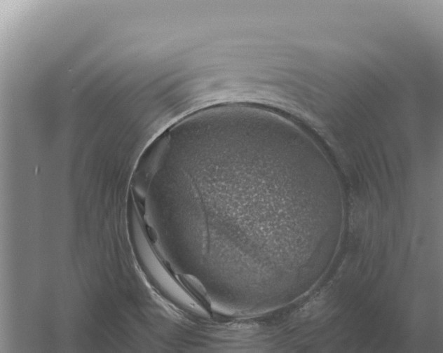 X0000058141513200509302005