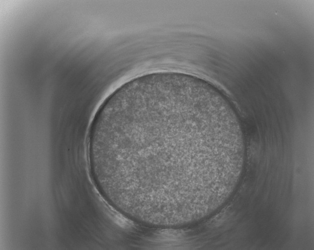 X0000058141514200509302005