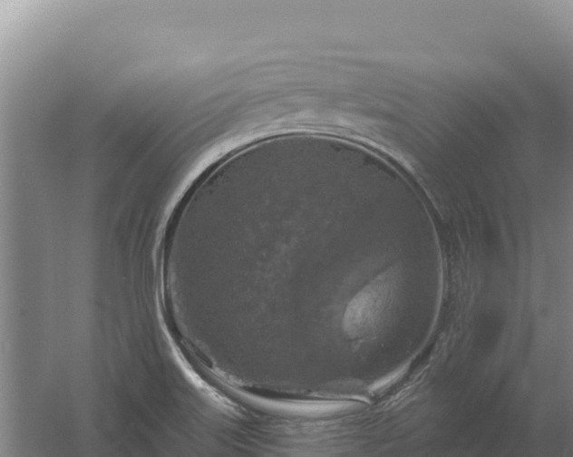 X0000058141515200509302005