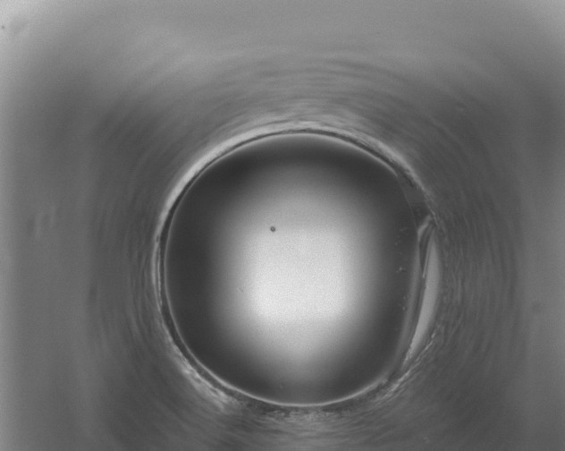 X0000058141516200509302005