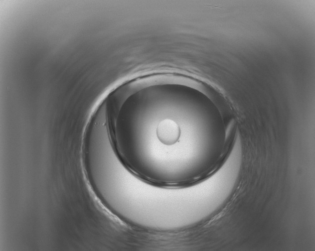 X0000058141518200509302005