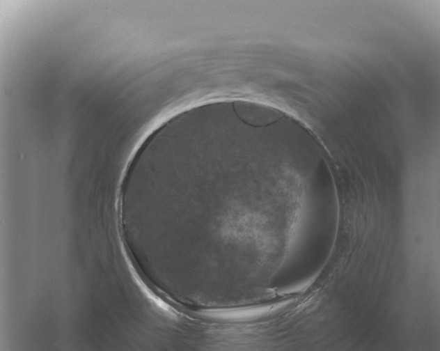 X0000058141519200509302005