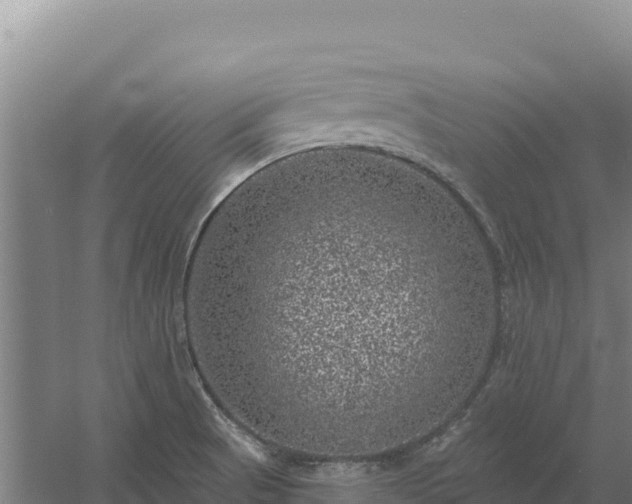 X0000058141521200509302005