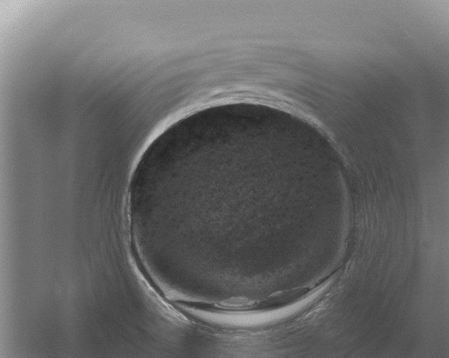 X0000058141522200509302005