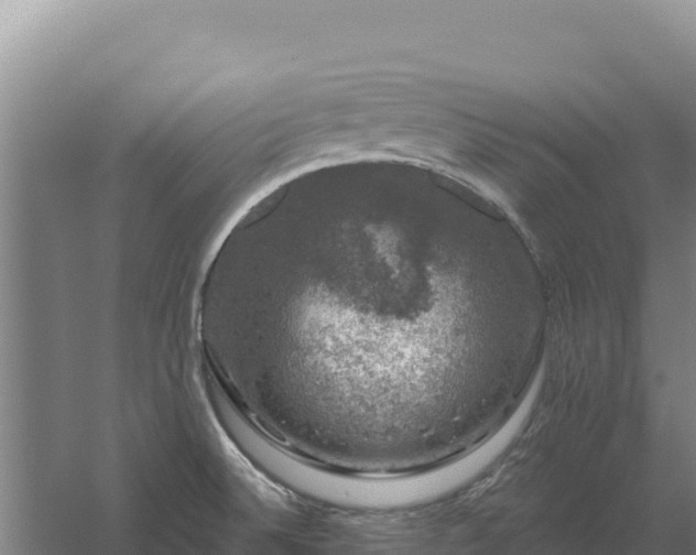 X0000058141524200509302005