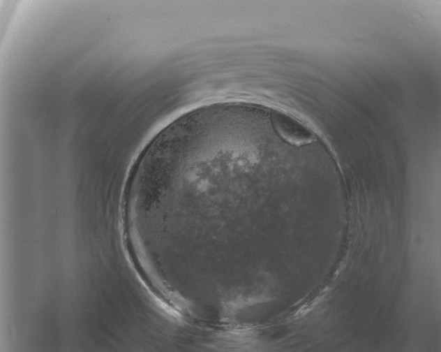 X0000058141525200509302005