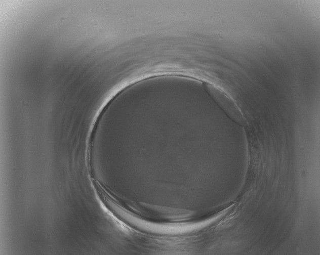 X0000058141527200509302005