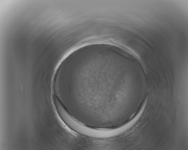 X0000058141528200509302005