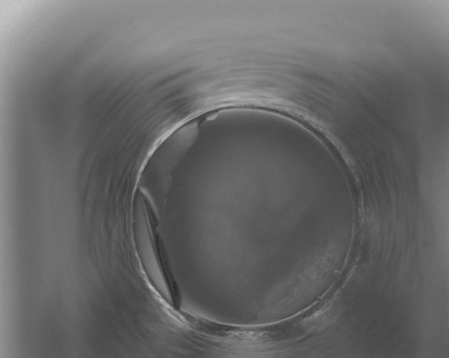 X0000058141529200509302005