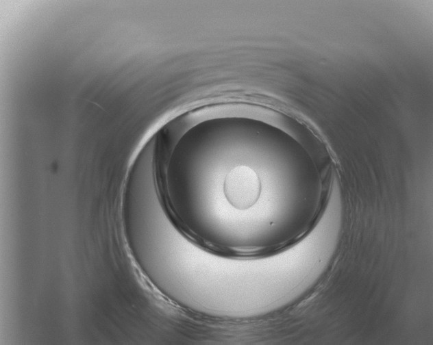 X0000058141530200509302005