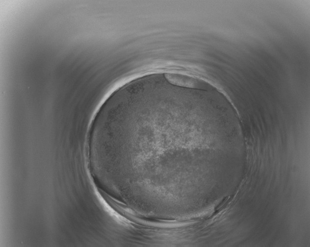 X0000058141531200509302006