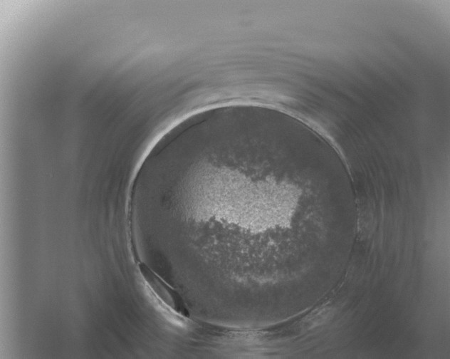 X0000058141532200509302006