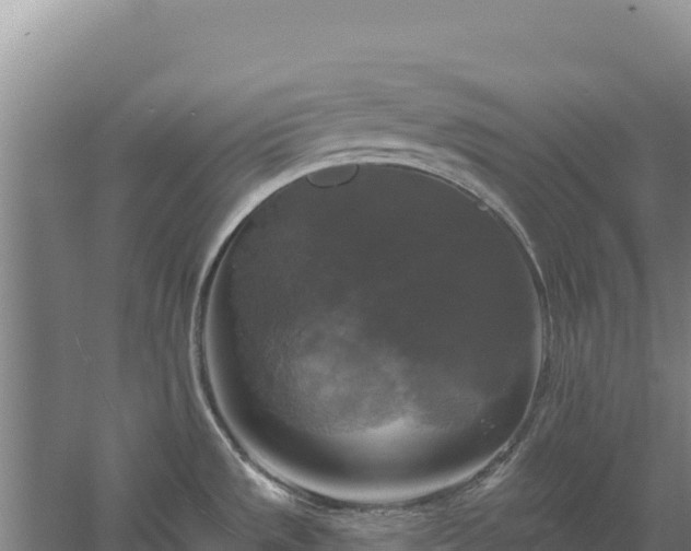 X0000058141533200509302006