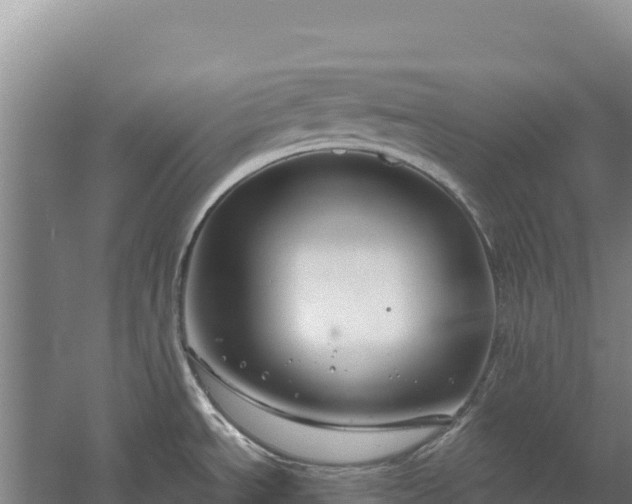 X0000058141534200509302006