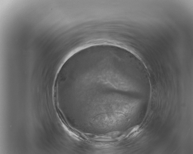 X0000058141535200509302006