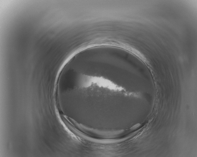 X0000058141536200509302006